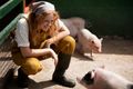 Как начать свиноводство: Первые шаги и необходимость подготовки