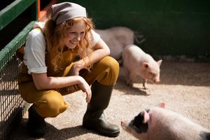 Как начать свиноводство: Первые шаги и необходимость подготовки