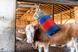 Автоматична щітка для корів HAPPYCOW MidiSwing