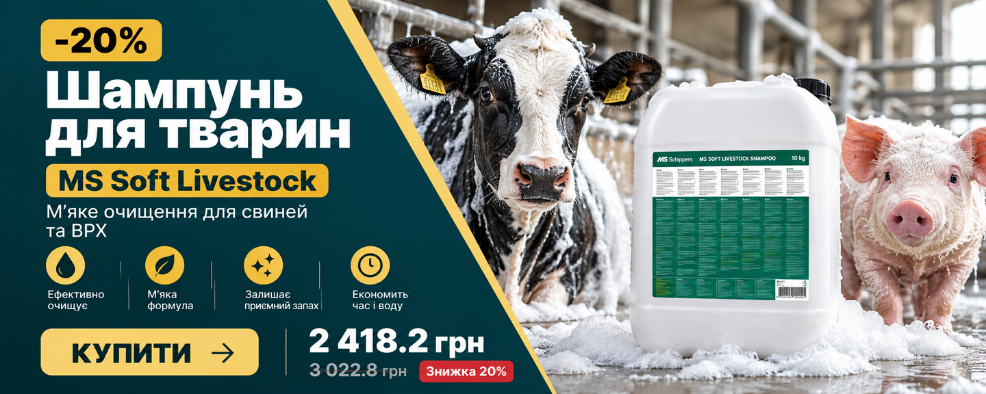 шампунь