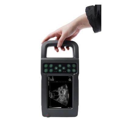 УЗИ аппарат для свиноводства KX5600L, KAIXIN