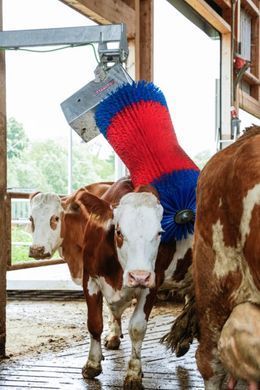 Автоматическая щетка для коров HAPPYCOW MaxiSwing