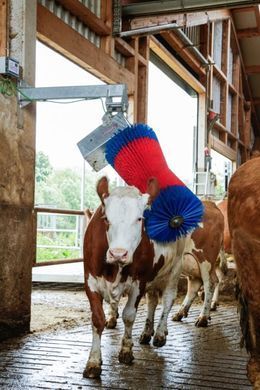 Автоматическая щетка для коров HAPPYCOW MaxiSwing