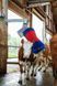 Автоматическая щетка для коров HAPPYCOW MaxiSwing