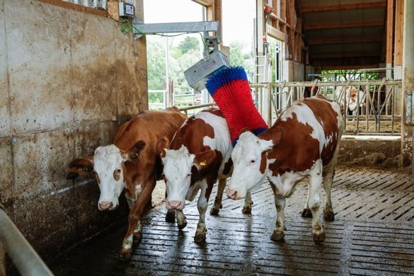 Автоматическая щетка для коров HAPPYCOW MaxiSwing