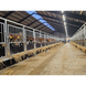 Світильник LED Modular-Light, 36 Вт, 3000 мм, 4000K