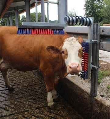 Щетка-чесалка для коров Euro-Farm, KERBL