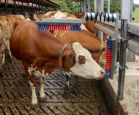 Щетка-чесалка для коров Euro-Farm, KERBL