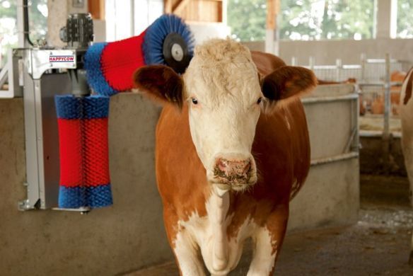 Запасна горизонтальна щітка для HappyCow Duo, KERBL
