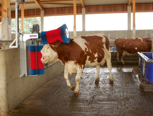 Запасна вертикальна щітка для HappyCow Duo, KERBL