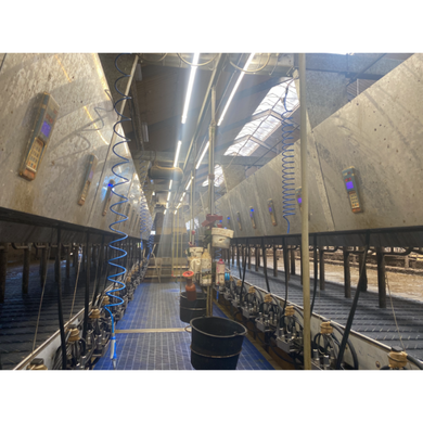 Світильник LED Farm-Light, 25 Вт, 1500 мм, 6000K