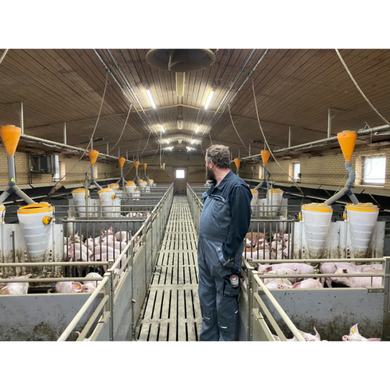 Світильник LED Farm-Light, 25 Вт, 1500 мм, 6000K