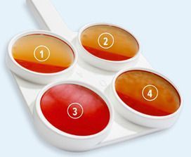 Жидкость для теста на мастит, eimu, Cell-Check, 1 л.