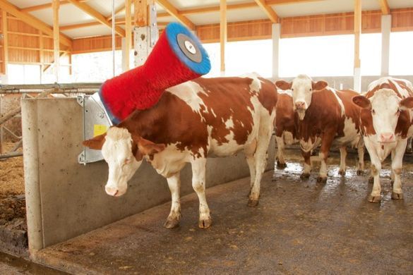 Автоматична щітка для корів HappyCow Uno