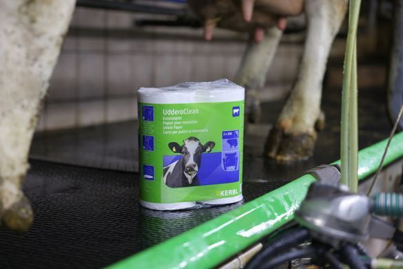 Паперові серветки Uddero Clean для очищення вимені, KERBL