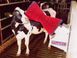 Автоматична щітка для корів HappyCow Uno
